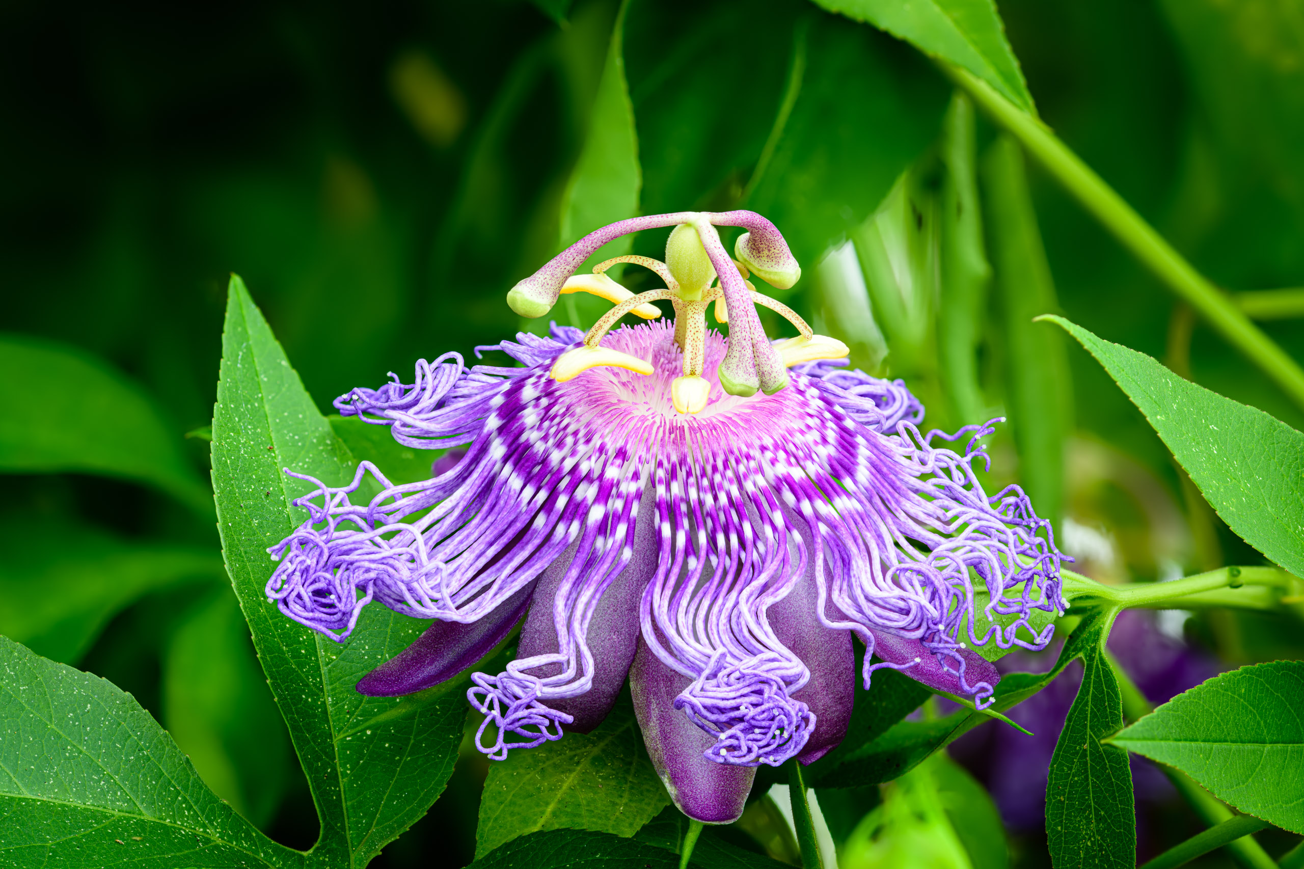 2021 05 20 22 39 12 (A,Radius8,Smoothing4)